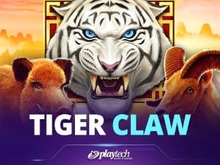 Tiger Claw game thumbnail